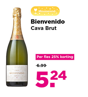 Bienvenido Cava Brut | Mousserend | Per fles 25% korting | van 6.99 voor 5.24