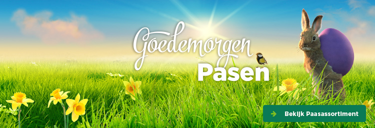 Goedemorgen Pasen | Bekijk Paasassortiment