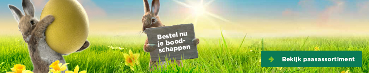 Bestel nu je boodschappen | Bekijk paasassortiment