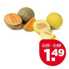 PLUS Meloen Galia of Cantaloupe