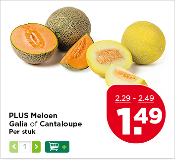 PLUS Meloen Galia of Cantaloupe
