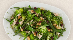 Groene groentesalade van haricots verts, broccoli en tuinkers