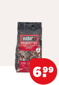 Weber Briketten