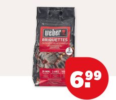 WWeber Briketten