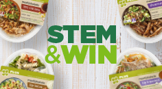 Stem & win!