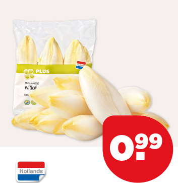 PLUS WITLOF