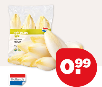PLUS WITLOF