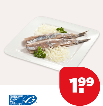 PLUS HOLLANDSE NIEUWE