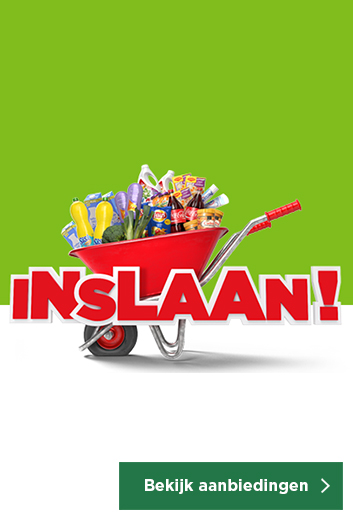 INSLAAN!