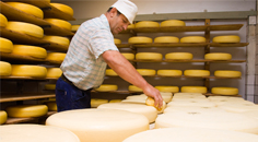 Smaakvolle producten van Nederlandse bodem