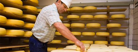 Smaakvolle producten van Nederlandse bodem