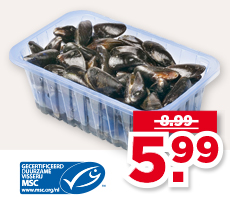 PLUS OOSTERSCHELDE MOSSELEN