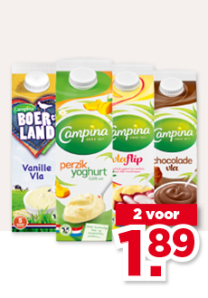 CAMPINA YOGHURT OF VLA