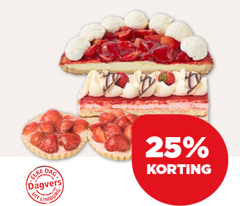 PLUS VERS AARDBEIENGEBAK
