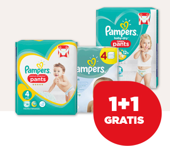 PAMPERS PANTS OF BABYDOEKJES
