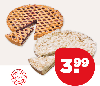 PLUS RASTER- OF KRUIMELVLAAI
