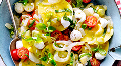 Gevulde pasta met gestoofde venkel en mozzarella