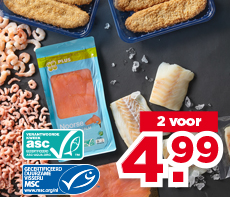 KIES & MIX VIS