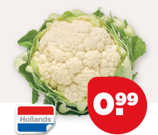 PLUS BLOEMKOOL