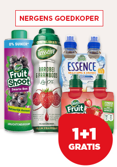 TEISSEIRE FRUITSHOOT OF SIROOP