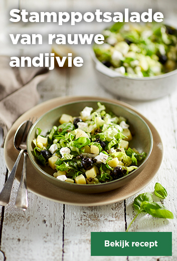 STAMPPOTSALADE VAN RAUWE ANDIJVIE