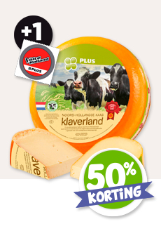 KLAVERLAND KAAS 48+ STUKKEN