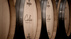 De wijnen van Bodegas Callia