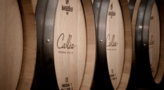 De wijnen van Bodegas Callia