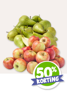 HOLLANDSE ELSTAR HANDAPPELS OF CONFERENCE PEREN