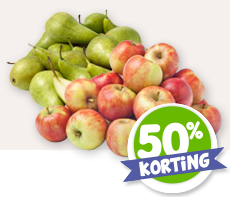 HOLLANDSE ELSTAR HANDAPPELS OF CONFERENCE PEREN