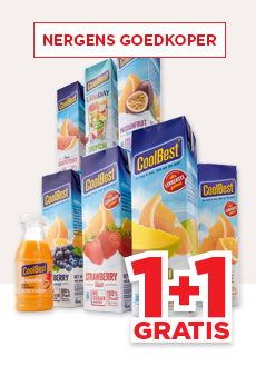 COOLBEST SAP OF SMOOTHIE