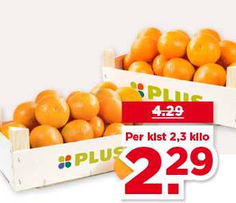 PLUS MANDARIJNEN