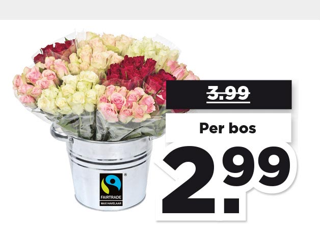 PLUS Fairtrade Rozen pastel | Bekijk aanbieding