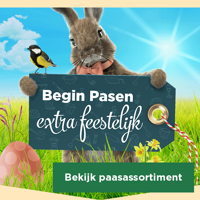 Begin Pasen extra feestelijk | Bekijk paasassortiment