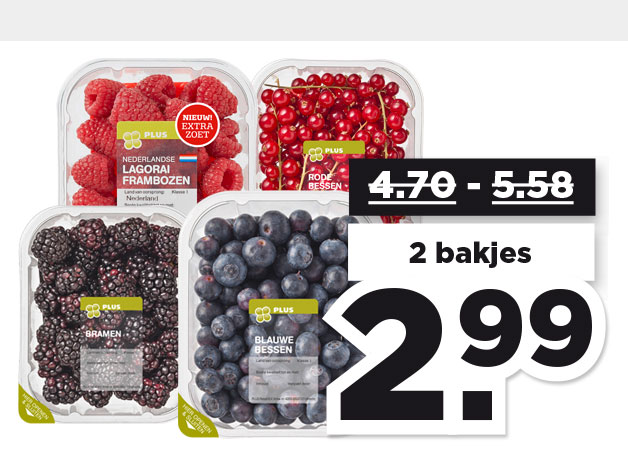 Bramen, blauwe bessen, rode bessen of frambozen lagorai | Bekijk aanbieding