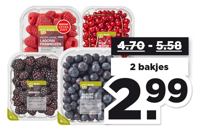 Bramen, blauwe bessen, rode bessen of frambozen lagorai | Bekijk aanbieding