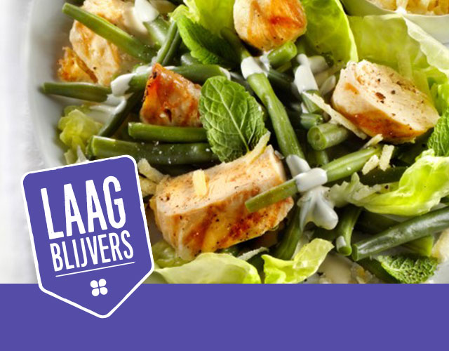 Kropsla met gegrilde kip en munt | Bekijk recept
