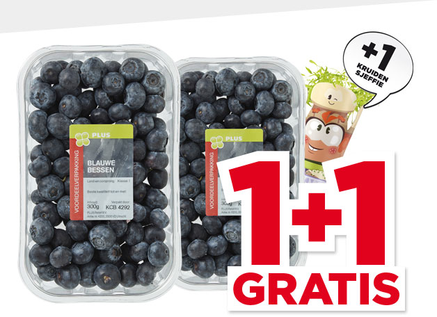 PLUS Blauwe bessen | Bekijk aanbieding