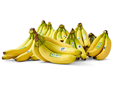 Onze eerlijke bananen vanaf nu ook klimaatneutraal Onze eerlijke bananen vanaf nu ook klimaatneutraal