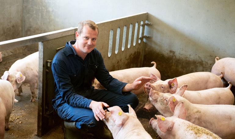 Dit zijn onze varkensboeren | Lees het verhaal