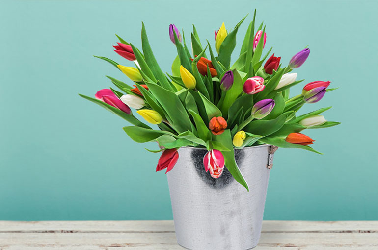 Haal de lente in huis | Bestel direct