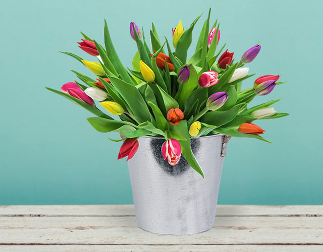Haal de lente in huis | Bestel direct