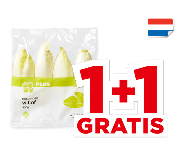 PLUS Nederlandse Witlof | Bekijk aanbieding