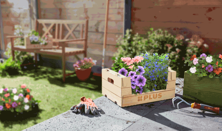 Lentebloeiers sparen bij PLUS! | Bekijk spaaractie