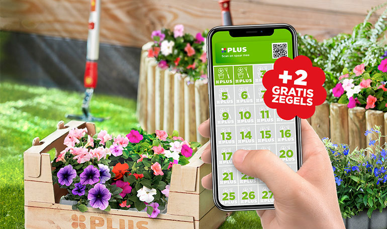 Hark je Lentebloeiers nóg sneller bij elkaar | Spaar slimmer