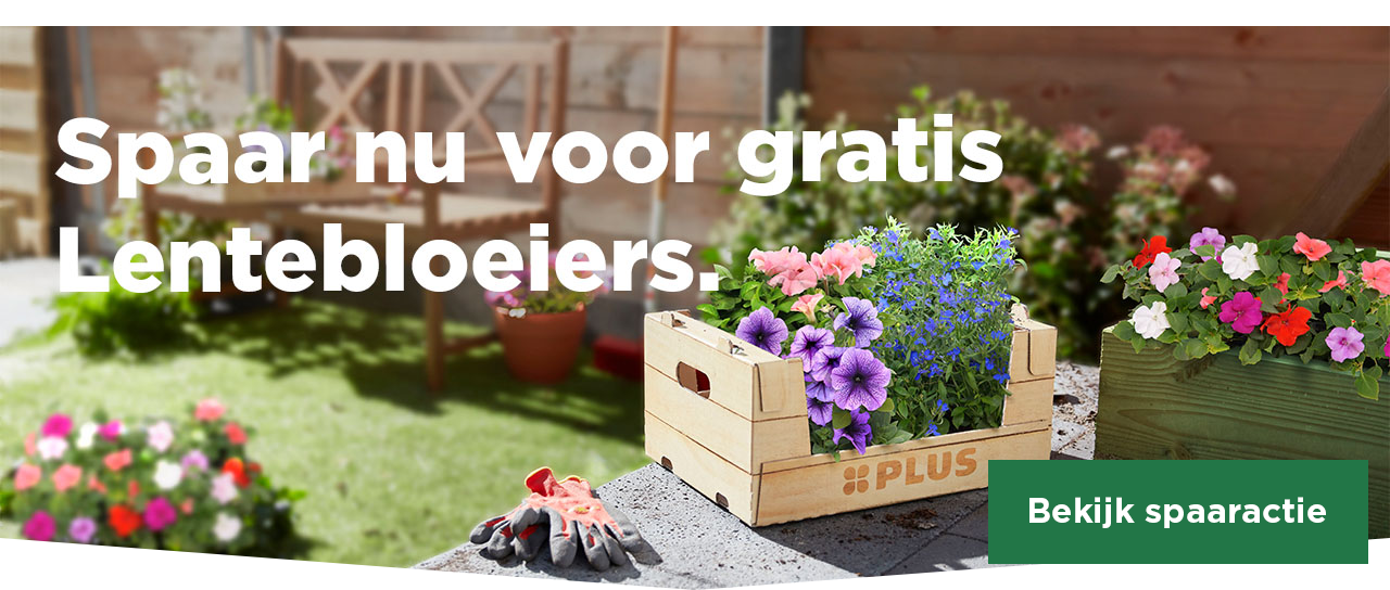 Spaar nu voor gratis Lentebloeiers. | Bekijk aanbieding
