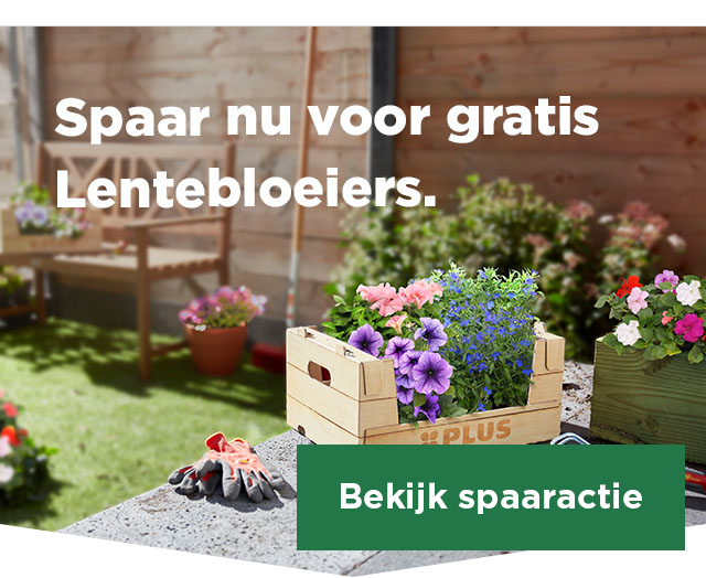 Spaar nu voor gratis Lentebloeiers. | Bekijk aanbieding