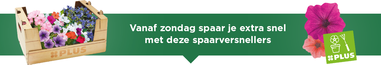Vanaf zondag spaar je extra snel met deze spaarversnellers