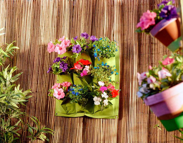 Perkplantjes vol leven! | Meer tips