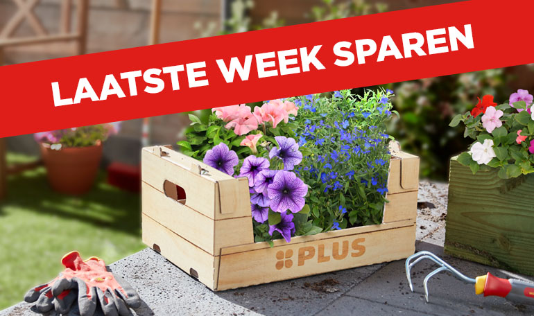 Laatste week sparen! | Spaar 'm vol